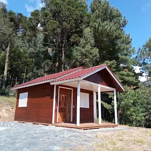 Uva Niágara Urubici